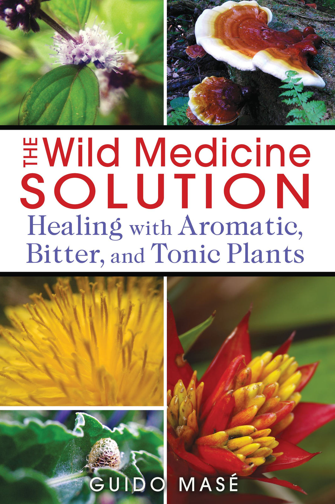 The Wild Medicine Solution
